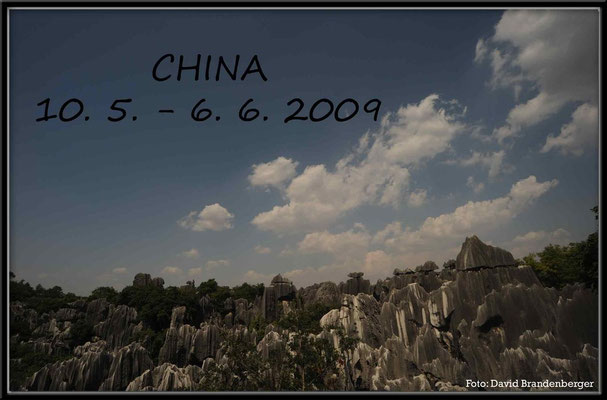 C001Stone Forest Titel