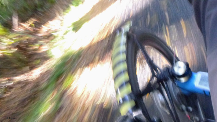 AU: Solatrike auf Turtons Track