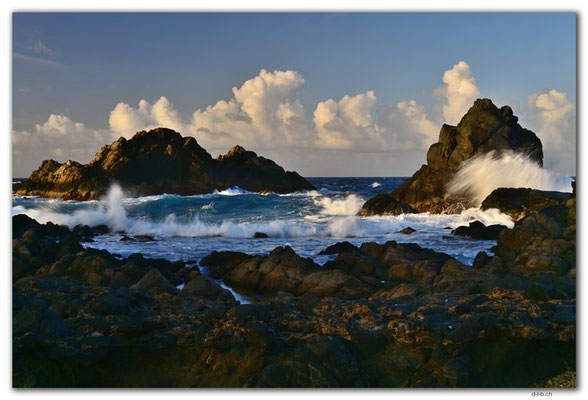 AW0032.Conchi Natural Pool