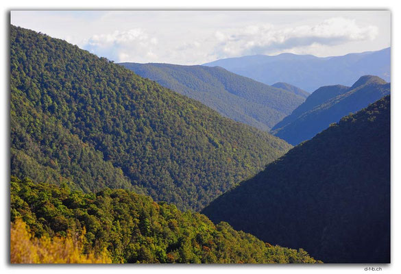 NZ0542.Kahurangi N.P.Takaka River Valley downstream