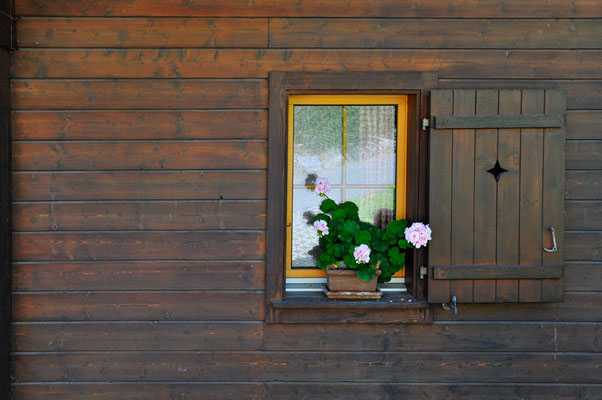 Schweiz,Grindelwald06