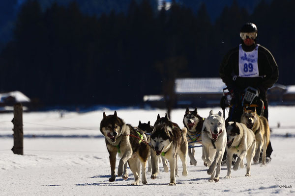CH1379.SH-Rennen Lenk.Matsch Andy