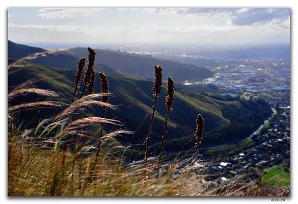 NZ1030.Christchurch.Port Hills.View to Christchurch