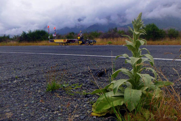 NZ: Solatrike in Wairau Valley