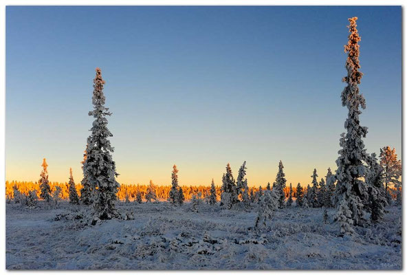 SE0100.Lapland Wilderness
