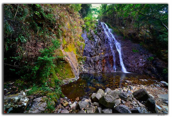 HK0073.Tai Mo Shan.Scatter Fall