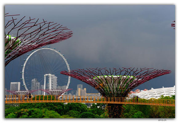 SIN0115.Gardens by the Bay.Supertrees