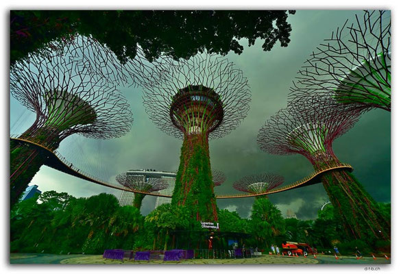 SIN0117.Gardens by the Bay.Supertrees