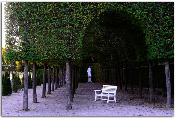 DE206.Schwetzingen.Schlossgarten