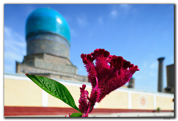 UZ0017.Samarkand.Registan
