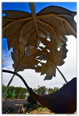 CA1218.Charlottetown.Canopy