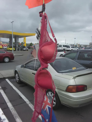 NZ: Christchurch (Photo: Wayne)