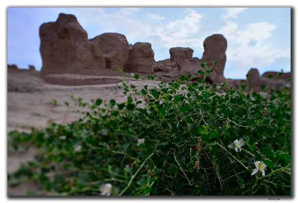 CN0044.Jiaohe Antike City