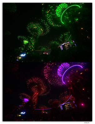 SIN0071.Gardens by the Bay.Supertrees Lightshow