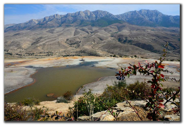 IR0304.Badab Soort