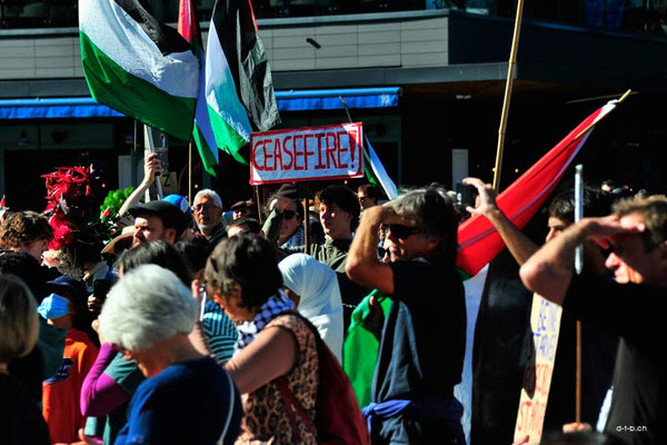 Christchurch. Rally for Palestine