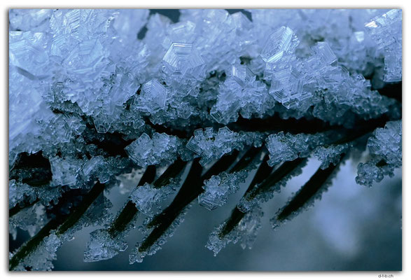 GW0613.Eiskristalle