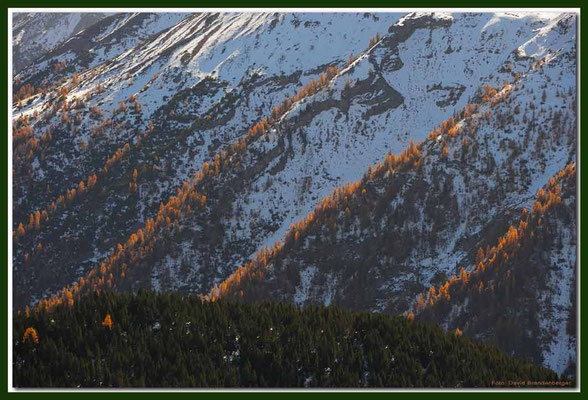 A0701.Nationalpark.CH