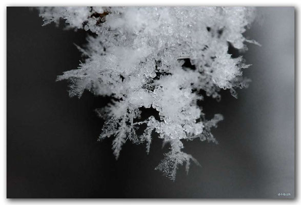 SE0091.Schneekristalle