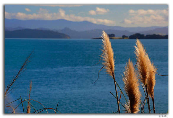 NZ0091.Hokianga Harbour