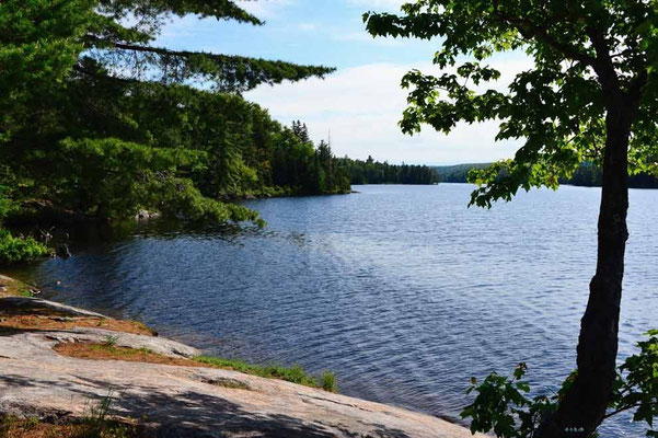 CA0470 Algonquin Park Camp