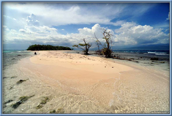 JM124.Lime Cay