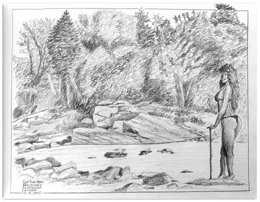 286.Skizze.Oak Tree Pool.Sherbrooke.Nova Scotia.Canada