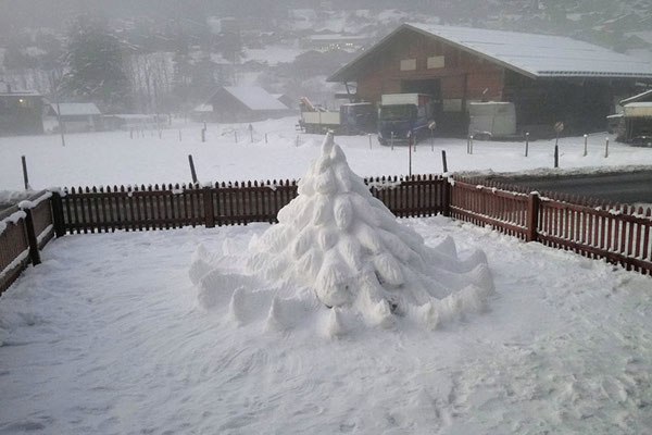 Schneetanne 2024