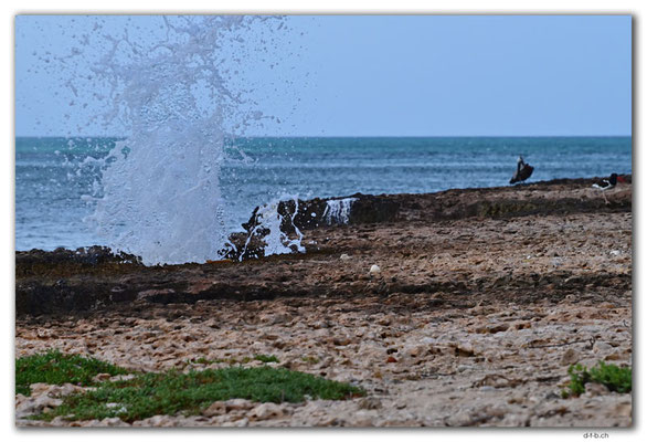 AW0012.Coast and Blowhole