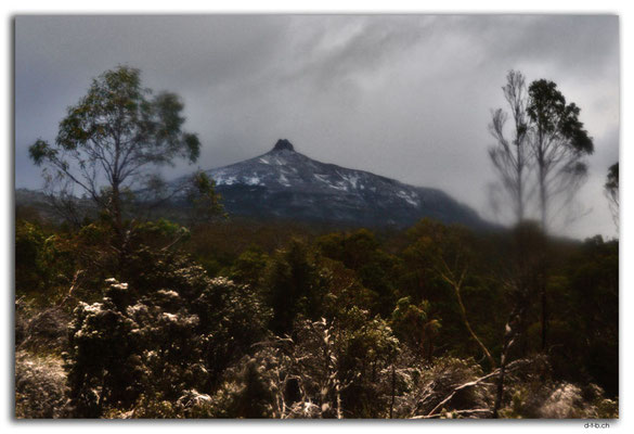AU1381.Overland Track.Mt.Pelion East