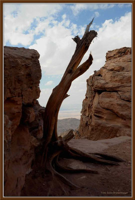 JO040.Am Ende der Welt.Petra