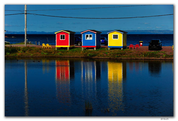 CA1233.Newfoundland.Cavendish