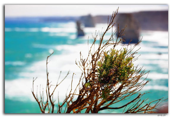 AU1187.Twelve Apostles