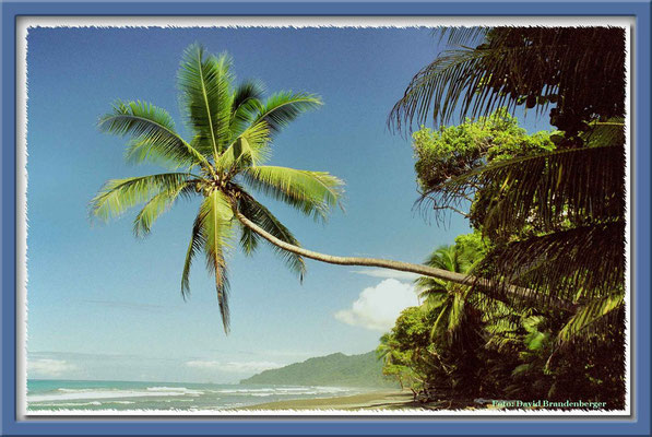 19.Playa Carate,P.N. Corcovado,Costa Rica