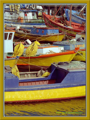 64.Chiloé,Chile