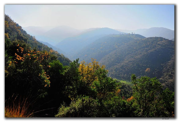 GR0118.Tal bei Vergina im Gegenlicht
