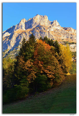 GW0156.Herbst unterm Mättenberg