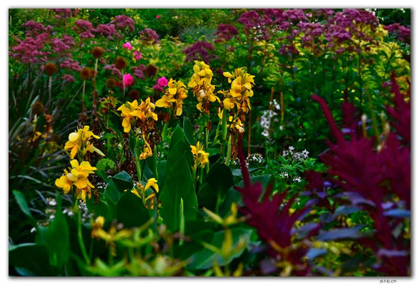 CA0838.Winnipeg.English Garden