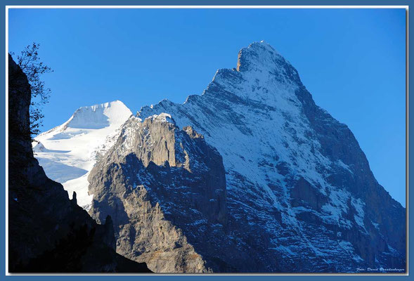 A0714.Eiger & Mittellegi.CH