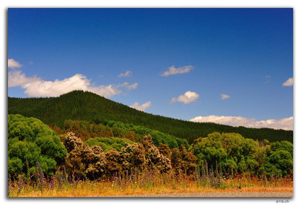 NZ0642.Motupiko Valley