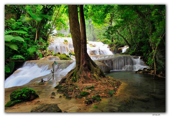 VT.0025.Mele Cascades