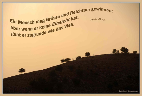 S0119.Mount Nebo.JO.Psalm 49.21