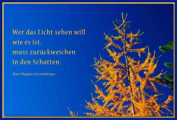 S0195.Nationalpark.CH Text: Hans Magnus Enzensberger