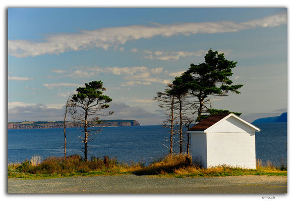 CA1265.Newfoundland.Topsail