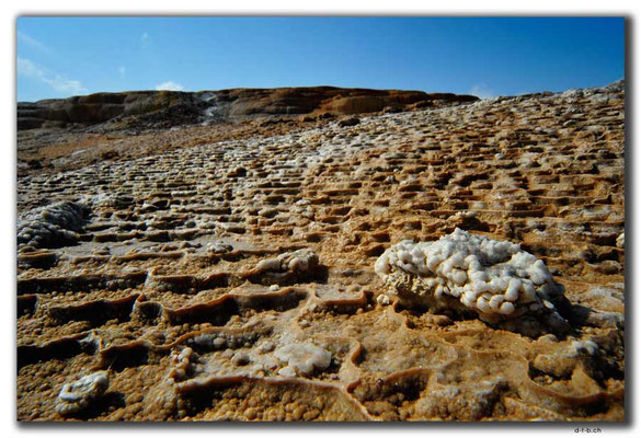 IR0310.Badab Soort