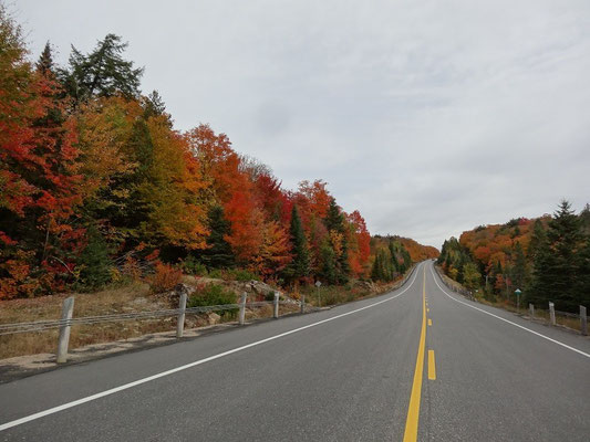 Und noch ein Bild vom Highway 60 im Algonquin Provincial Park während der Fall Colors.