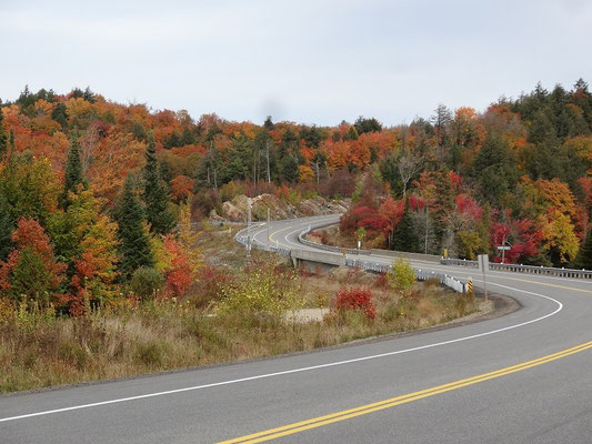 Der Highway 60 schlängelt sich durch den Algonquin Provincial Park und macht während der Fall Colors eine gute Figur.