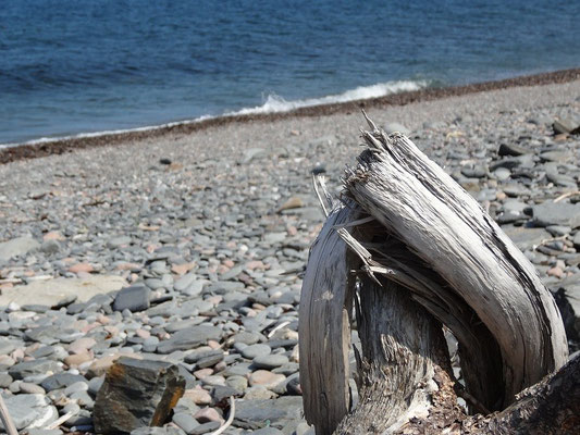 Strände gibt es im Cape Breton Highlands National Park auch, vor allem an der Ostseite, wo der Cabot Trail weniger steil ansteigt.