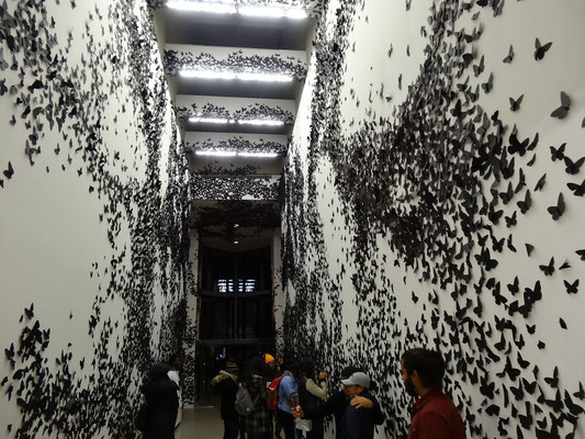 Nuit Blanche 2015 in Toronto: Eine Installation mit 30 000 kleinen Motten.