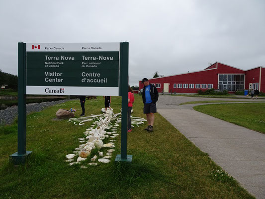 Urlaub in Neufundland: Walknochen vor dem Besucherzentrum des Terra Nova Nationalparks.